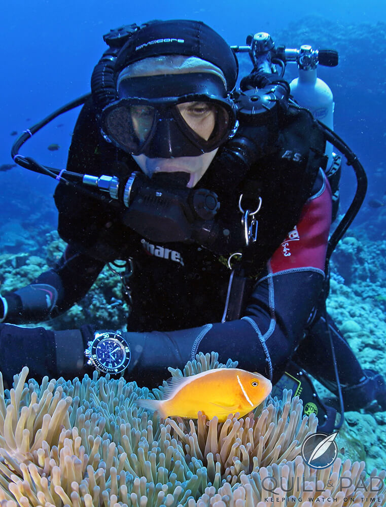 Thanks to Blancpain Ocean Commitment partner National Geographic, we see Enric Sala observing a clownfish here while wearing a Fifty Fathoms