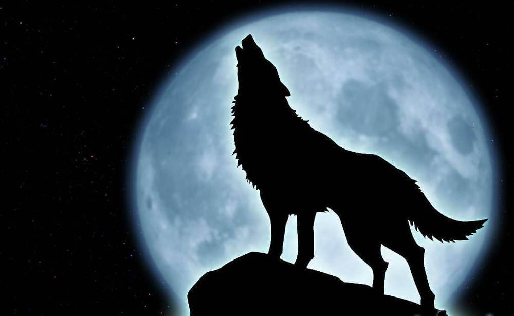 wolf-howl-moon