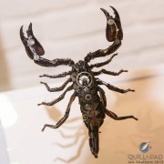 Pandinus imperator MeCre scorpion by Gaby Wormann