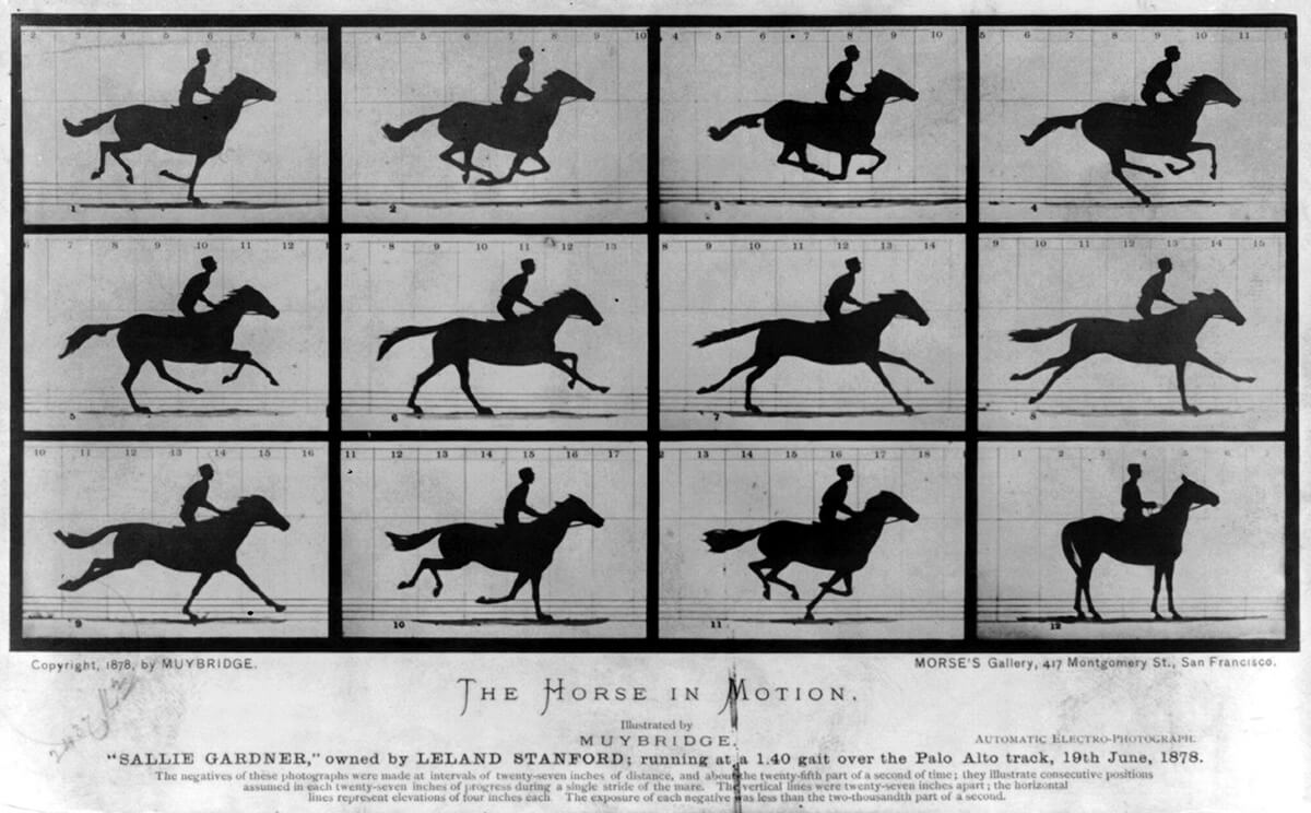 Iconic photo by Eadweard Muybridge (1830 – 1904) proving horse had all four hooves in the air at gallop