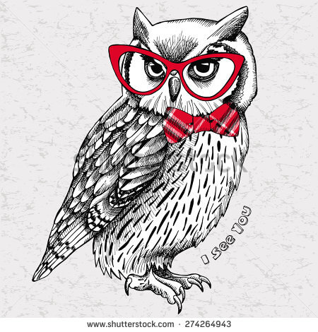 owl-with-bow-and-glasses
