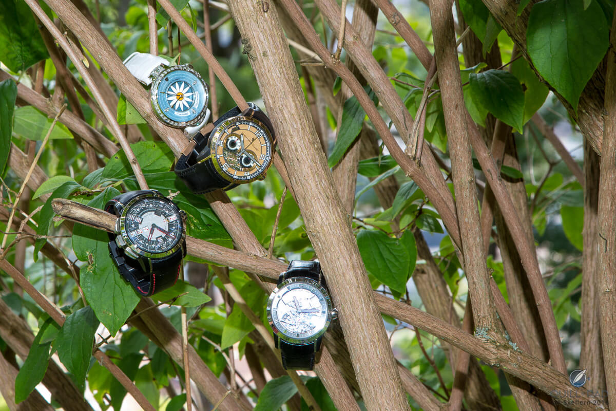 Attention collectors: I can grow you a watch tree like the one in this picture. Just send me your timepieces and I will bury them in my yard. I will contact you when it’s harvest time.