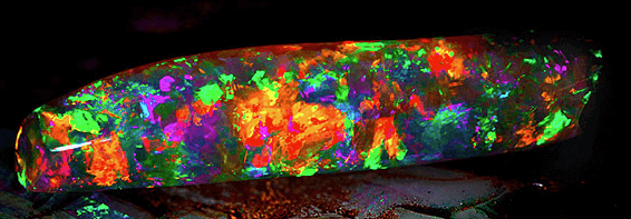 A fire opal, the Virgin Rainbow is billed as the finest opal ever (photo courtesy South Australian Museum)