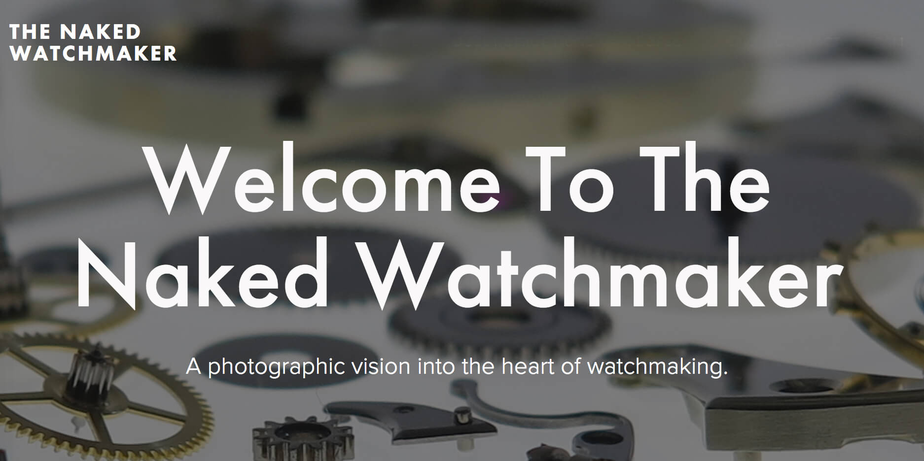 The Naked Watchmaker home page
