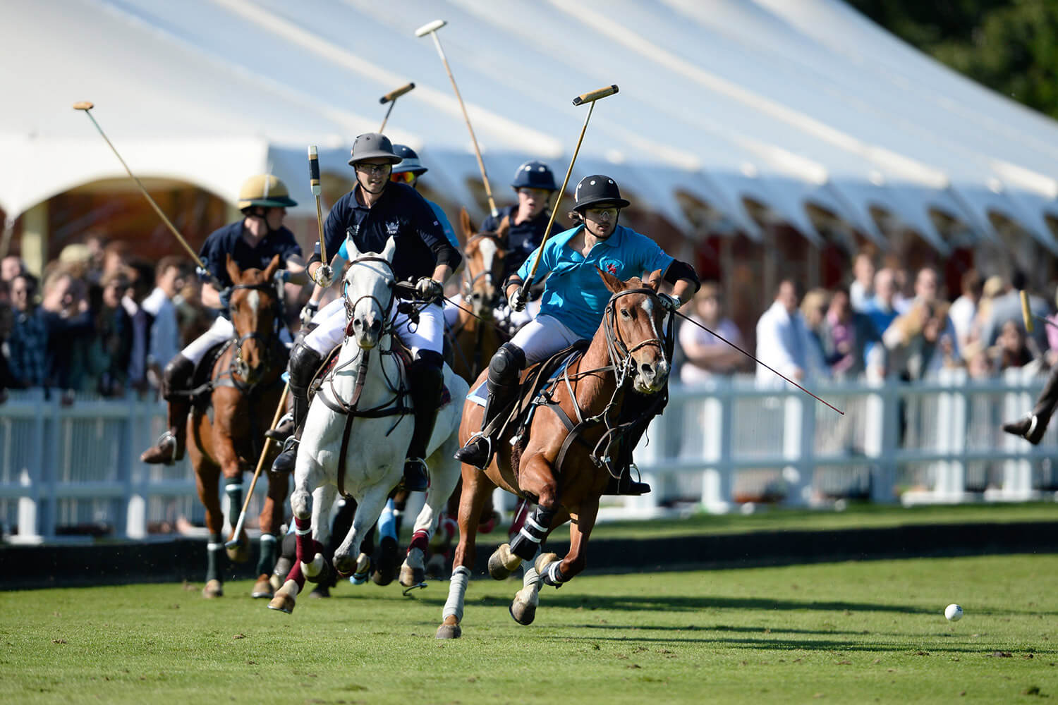 Polo: what could possibly go wrong?