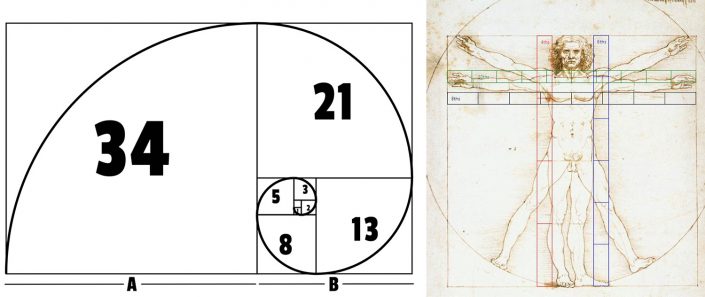 Леонардо да винчи золотое сечение картинки