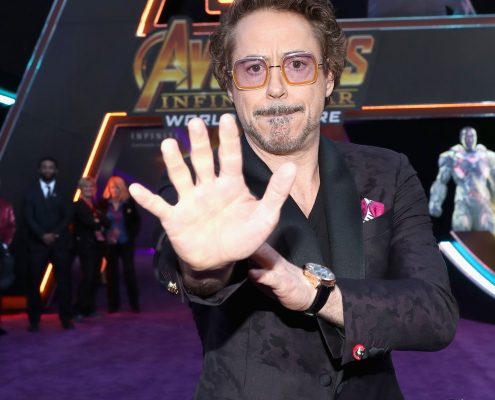 The cast of ‘Avengers: Infinity War’ at the world premier in Los Angeles (photo courtesy Citizen)